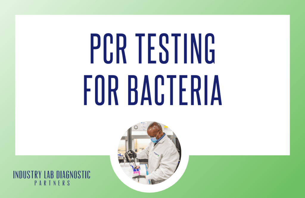PCR Testing for Bacteria